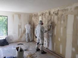 Best Asbestos and Lead Testing During Mold Inspection  in Red Lake Falls, MN